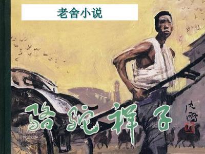 含羞草实验室